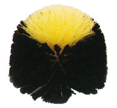 TETE DE LOUP FIBRE PVC