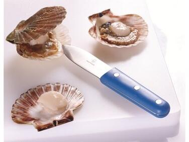 COUTEAU COQUILLE SJ ERGO MATFER - BLEU, CUISINE ET DÉCOUPE