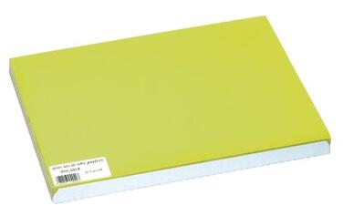SET DE TABLE PAPIER GAUFRE 30X40CM VERT KIWI PQT X500