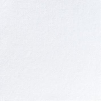 SERVIETTE OUATE 2 PLIS PLIAGE 40X40CM BLANC (4X300) DUNI ECOLABEL NORDIC SWAN