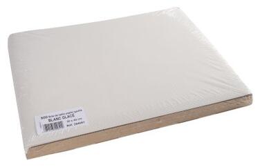 SET DE TABLE EN PAPIER GAUFRE GLACÉ 30X40CM BLANCHE X500