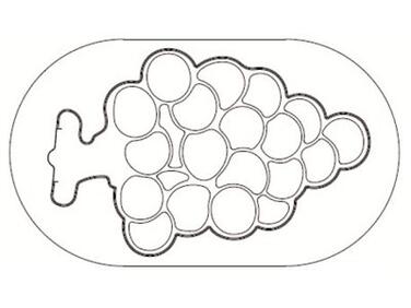 EMPORTE-PIÈCE EXOGLASS GRAPPE DE RAISIN MATFER