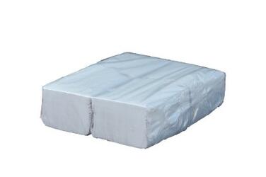 PAPIER TOILETTE PQT 100F BLANC 2PLIS ECOLABEL  C/8X15