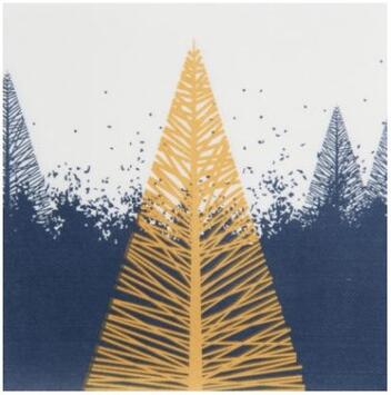 SERVIETTES CELI-OUATE 38X38 PLIAGE 4 LUMIÈRES DE LA NUIT X50