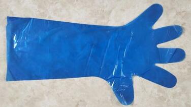 GANT PE BLEU LONG 63CM C/40X50