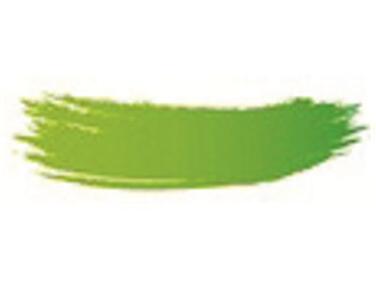 COLORANT EN POUDRE VERT MATFER POUR PÂTISSERIE 25G