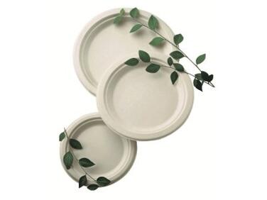 ASSIETTES FIBRE RONDES BLANCHES Ø 26 CM X500