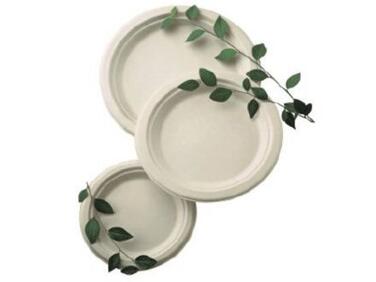 ASSIETTES FIBRE RONDES BLANCHES Ø 18 CM X1000
