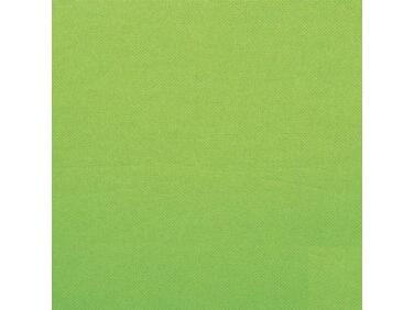 SERVIETTES EN PAPIER OUATE DOUBLE POINT, 2 PLIS, 38X38 CM, VERT PISTACHE X900