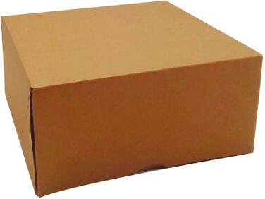 BOÎTES À TARTE EN CARTON KRAFT BRUN H 50 MM 160X160 MM X50