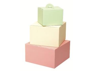 BOÎTES ISOLANTES À VACHERIN EN PSE VANILLE 200X200X130 MM X25