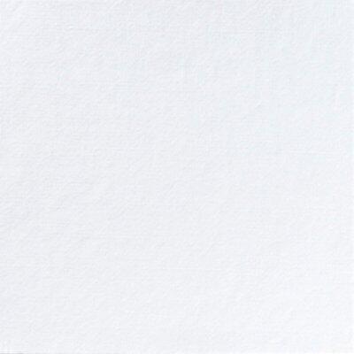 SERVIETTE OUATE 2 PLIS PLIAGE 40X40CM BLANC (4X300) DUNI ECOLABEL NORDIC SWAN