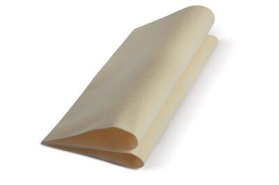 SERVIETTE LINSTYLE® PREMIUM 39X39 CM 1 PLI VANILLE (12X50)