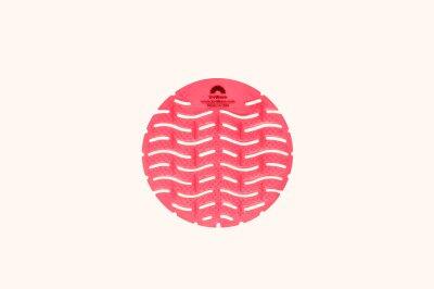 GRILLE POUR URINOIR TUTTI FRUTTI URIWAVE X10