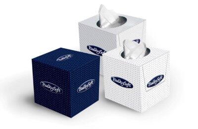 PAQUET 24 BOÎTES MOUCHOIRS BULKY SOFT 2PLIS BLANC 90 FTS - 2