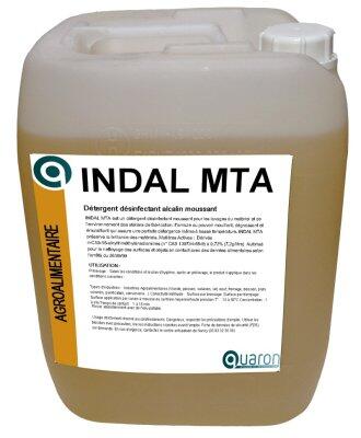 DETERGENT DESINFECTANT ALCALIN MOUSSANT INDAL MTA 20L