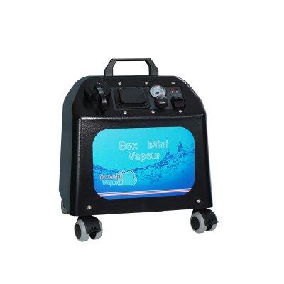 NETTOYEUR VAPEUR PROFESSIONNEL BOX MINI 2300W