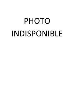 BOUTEILLE SPRAY 650 ML "DIESIN PRO" VIDE ECOLAB