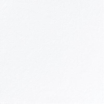 SERVIETTE DUNILIN PLIAGE BLANC PREMIUM, 48X48 CM, LOT DE 6X36