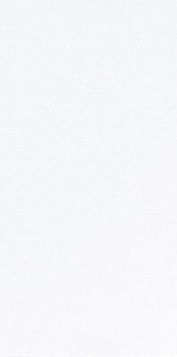 SERVIETTE PREMIUM DUNILIN PLIAGE BLANC 48X48 CM, LOT 6X36