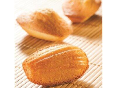 MOULE FLEXIPAN MATFER POUR MADELEINES GN/1