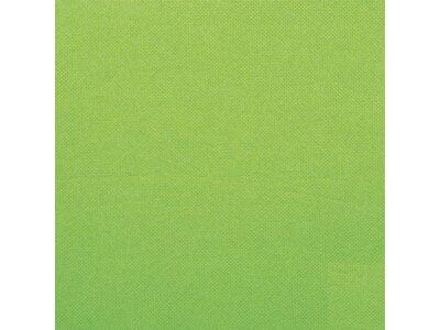 SERVIETTES EN PAPIER OUATE DOUBLE POINT, 2 PLIS, 38X38 CM, VERT PISTACHE X900