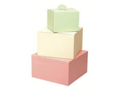 BOÎTES ISOLANTES À VACHERIN EN PSE VANILLE 200X200X130 MM X25