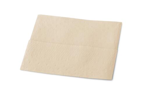 SERVIETTE POUR DISTRIBUTEUR 21.3X16.5CM TORK® XPRESSNAP FIT® N14 2 PLIS NATURE X4320 - 3